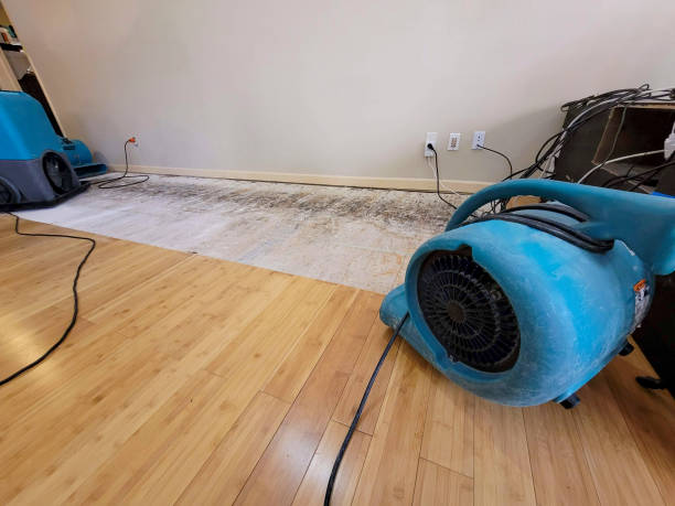 Reliable Basement Flood Cleanup contractor in Freeman, SD by Hirex Water Damage