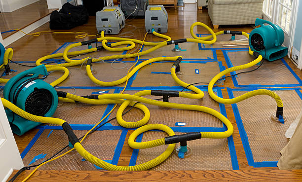 Professional Basement Flood Cleanup technician working in Freeman, SD